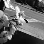 TheycallmeGigi - @abby_power_ - Instagram