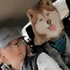 Abby Prescott - @abbyprescott1 - TikTok