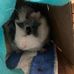 Abigail Prescott - Facebook