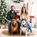 Abby Probst - Facebook