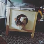 Abby Proctor - @abigail.v.proctor - Instagram