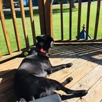 Abby Putnam - Facebook
