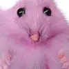 A - @abby.quinnn - TikTok