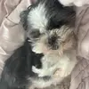𝓐𝓫𝓫𝔂 𝓠𝓾𝓲𝓷𝓷 ᰔᰔᩚ❦ - @abby.quinn21 - TikTok