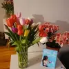 abbyquinto881 - @abbyquinto881 - TikTok