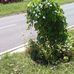Abby Radcliff - Facebook