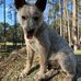 Abby Rader - Facebook