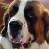 Abbie Rambo - @abbierambo6 - TikTok