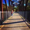 Abby Randall - @abbyrandall6 - TikTok