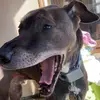 Abby - @abby.rapaport - TikTok