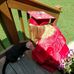 Abigail Rapp - Facebook