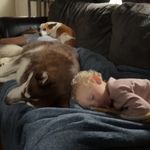 Abby - @abby_rash10 - Instagram