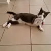 raven.abby - @raven.abby - TikTok