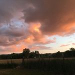 Abby - @sq_abbyrayburn - Instagram