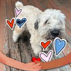 Abby Rector - Facebook