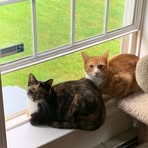 Abby Reed - Facebook