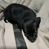 Abby Register - @abby.register17 - TikTok