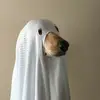 abbyreilly6775 - @abbyreilly6775 - TikTok