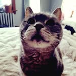 abbyreilly - @_abby__reilly_ - Instagram