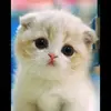 abby.rendon - @abby56821 - TikTok