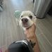 Abby Renee - Facebook