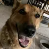 abby renee - @abbyrenee - TikTok