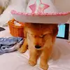 abby - @abbyprepp - TikTok
