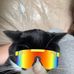 Abby Rhea - Facebook