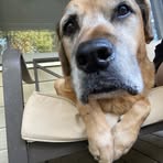 Abby Rhoades - Facebook