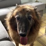 Abby Rhoads - @mrs_abby_rhoads - Instagram