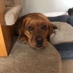 Abby Rickard - @ari.ckard1 - Instagram