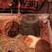 Abby Rickert - Facebook