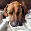 Abby🥰 - @ridgebabby - TikTok