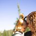 Abby Rigdon - Facebook