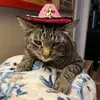 abi.rigdon - @abi.rigdon - TikTok