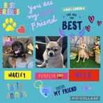 Abby Ring - Facebook