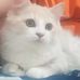Abby Ritan - Facebook