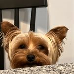 AbbyRoad - @abby.abbeyroad - Instagram