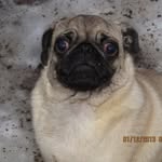 Abby Roads - @abby_roads.122 - Instagram