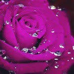 Xbox dvb ds - @abbyrock_123 - Instagram