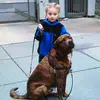 Abby Roeder - @abbyroeder5 - TikTok