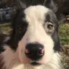 Abby Rohr - @abby.rohr12 - TikTok
