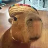 Abby - @abbyrolls - TikTok