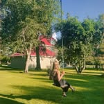Abby - @abbyromanow19 - Instagram