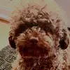 abbyromanow315 - @abbyromanow315 - TikTok