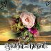 Abby Rosa - Facebook