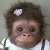 Abby - @abbyrosenst - TikTok