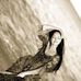 Abby Rosenthal - Facebook