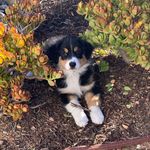 Abby Rubenstein - @nurseaar - Instagram