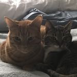 Abby & Rupert - @abbyrupert3 - Instagram